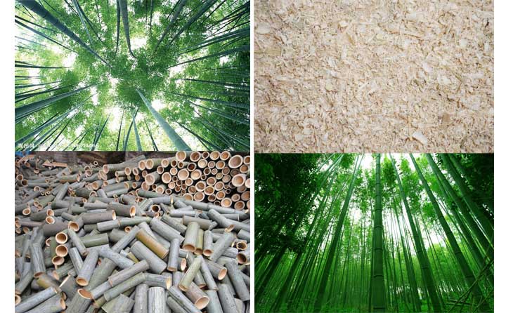 木屑顆粒機(jī)設(shè)備的發(fā)展會(huì)越來越好 木屑顆粒機(jī)設(shè)備的發(fā)展會(huì)越來越好