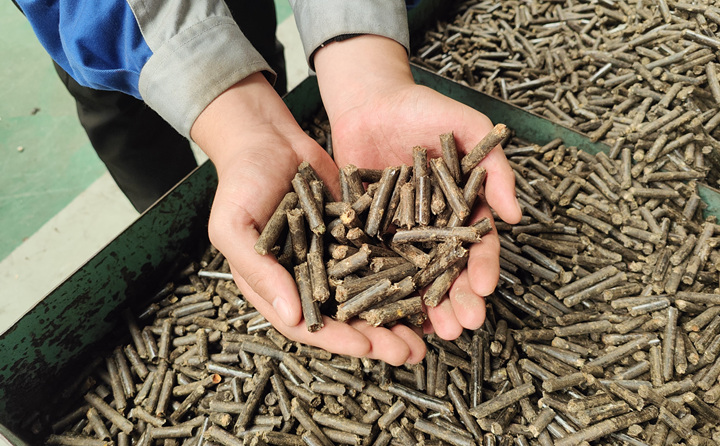 木屑顆粒機加工的顆粒燃料 木屑顆粒機加工的顆粒燃料