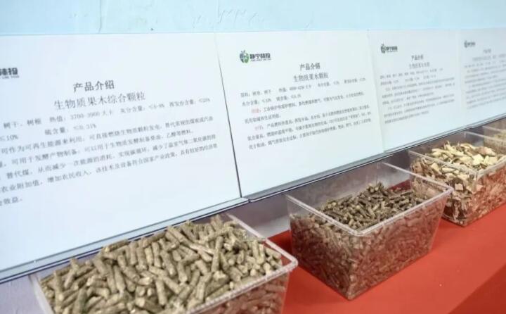 甘肅省靜寧縣仁大鎮(zhèn)生物質(zhì)廢棄物綜合利用項目建成投產(chǎn) 甘肅省靜寧縣仁大鎮(zhèn)生物質(zhì)廢棄物綜合利用項目建成投產(chǎn)