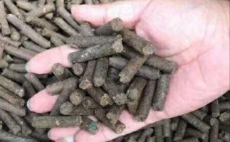 水果渣越來越受歡迎，因?yàn)樗某霈F(xiàn)—生物質(zhì)顆粒機(jī)設(shè)備