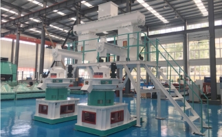 木屑顆粒機(jī)多少錢(qián)一臺(tái)?建顆粒廠大約多少錢(qián)？