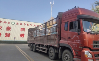 忙碌的五月，忙碌的發(fā)貨，金格瑞顆粒機(jī)生產(chǎn)線發(fā)往全國各地