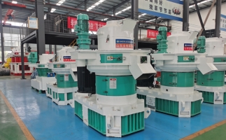 顆粒機(jī)出故障前的征兆有哪些？木屑顆粒機(jī)廠家教你怎樣去解決