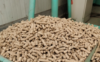 在燃燒時(shí)，水分大的生物質(zhì)顆粒會(huì)出現(xiàn)哪些問題？