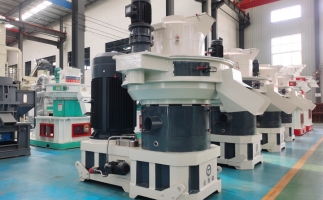 鋸末顆粒機(jī)生物質(zhì)顆粒，將會(huì)改變普通人民的生活！