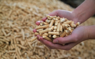 黟縣洪星鄉(xiāng)：“鋸末顆粒機(jī)的小顆?！睋Q來綠富雙贏