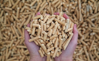 夏季儲(chǔ)存鋸末顆粒機(jī)生物質(zhì)顆粒的方法，要認(rèn)真看喲