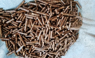 如何選擇鋸末顆粒機(jī)的顆粒燃料？講解！