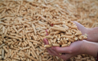 鋸末顆粒機(jī)生物質(zhì)顆粒，你需要知道的常識(shí)問(wèn)題