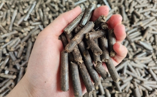 生物質顆粒燃料公司前景怎么樣，木屑顆粒機的顆粒燃料賣給誰的？