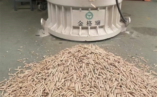 木屑顆粒機(jī)加工環(huán)保燃料顆粒，用綠色昭示未來