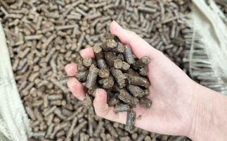 木屑顆粒機將秸稈變廢為寶，降碳節(jié)能一舉兩得