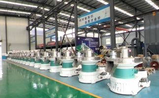 新手開(kāi)顆粒廠，該選小型還是大型木屑顆粒機(jī)？